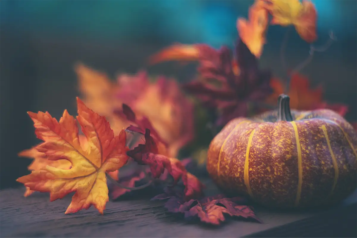 Autumn at Woodholme Open House